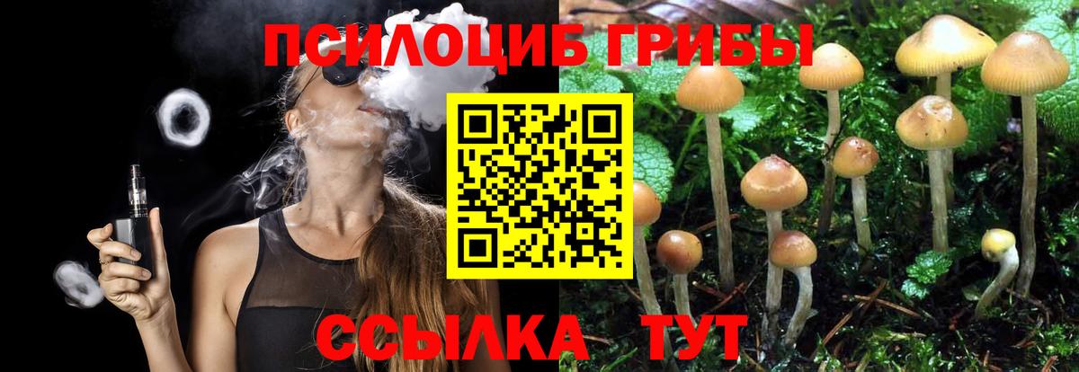 Псилоцибиновые грибы ЛСД Жуковский